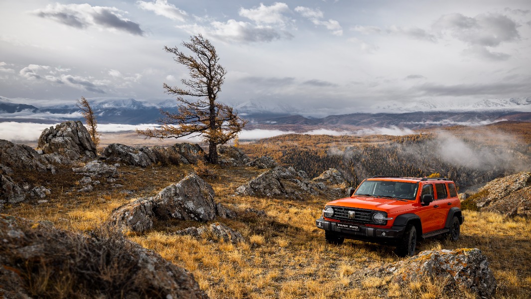 Двигатель TANK 300